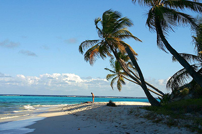 tobago-cay-beach